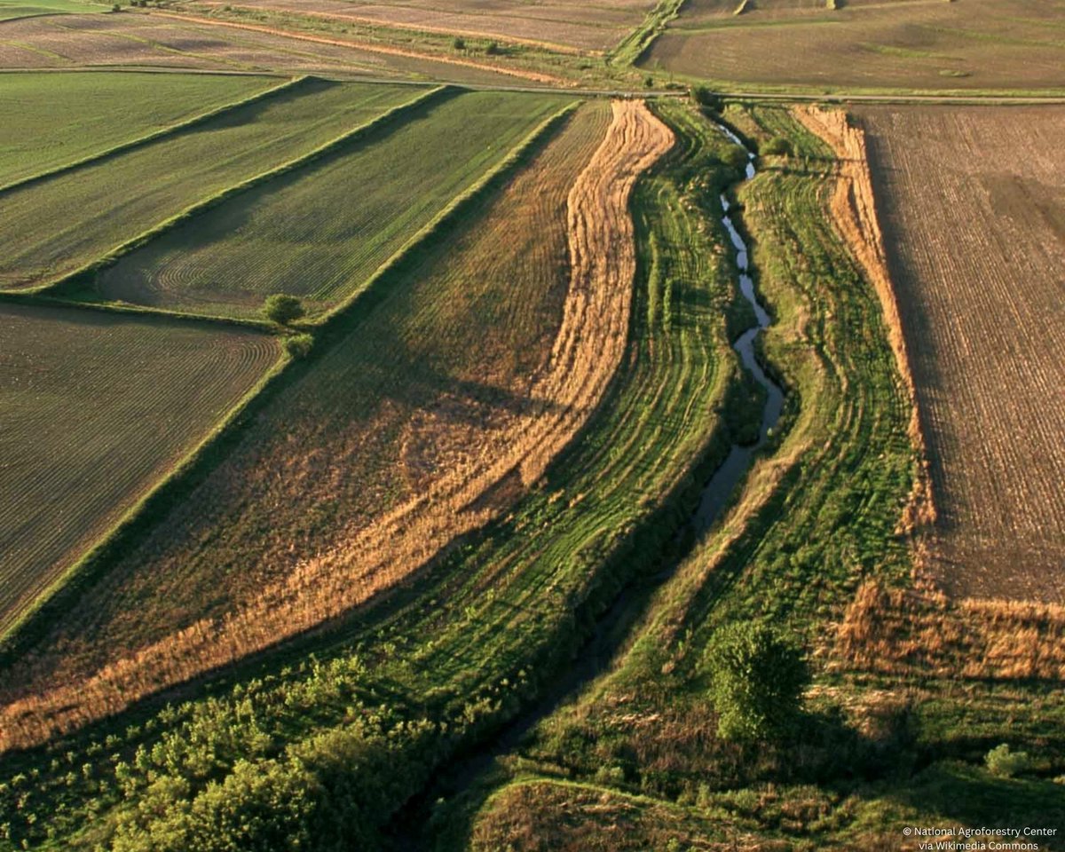 Iowa Monarchs tweet media