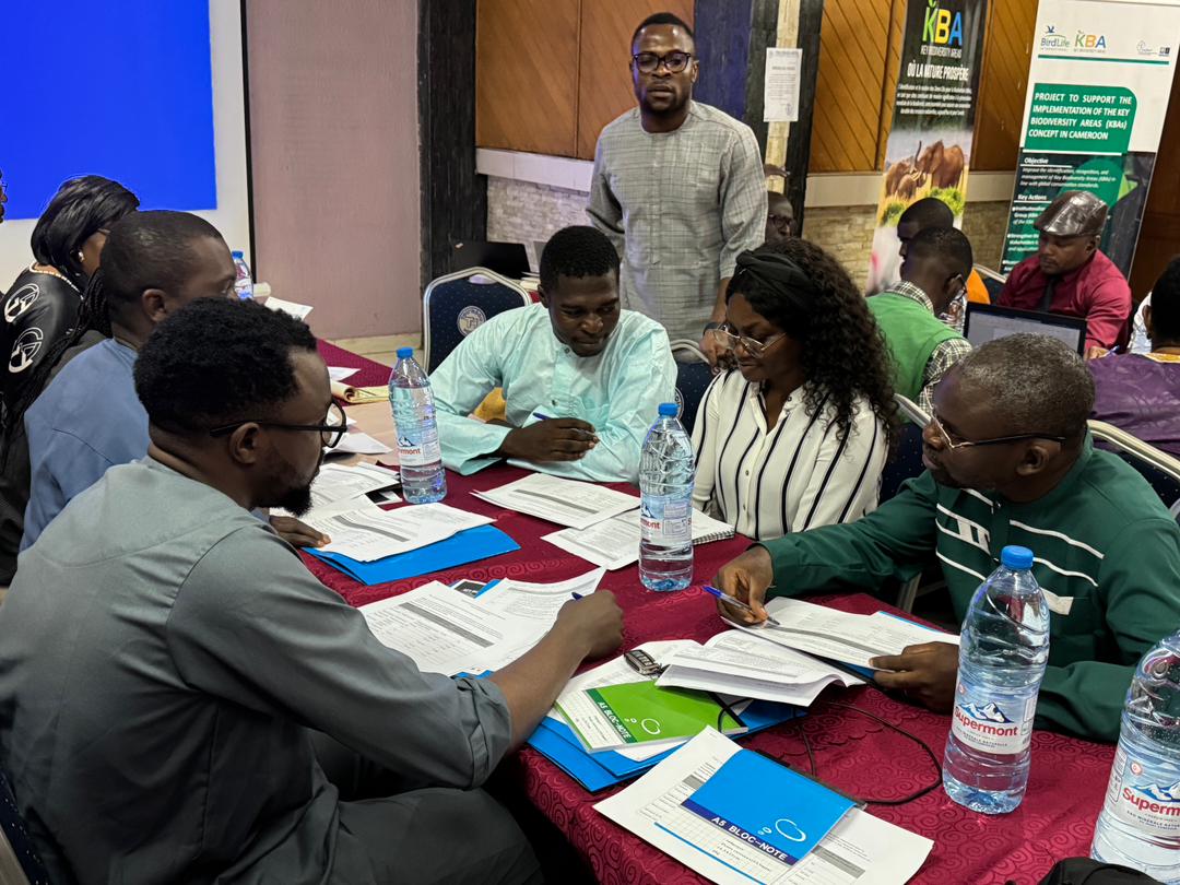 Key Biodiversity Areas tweet media