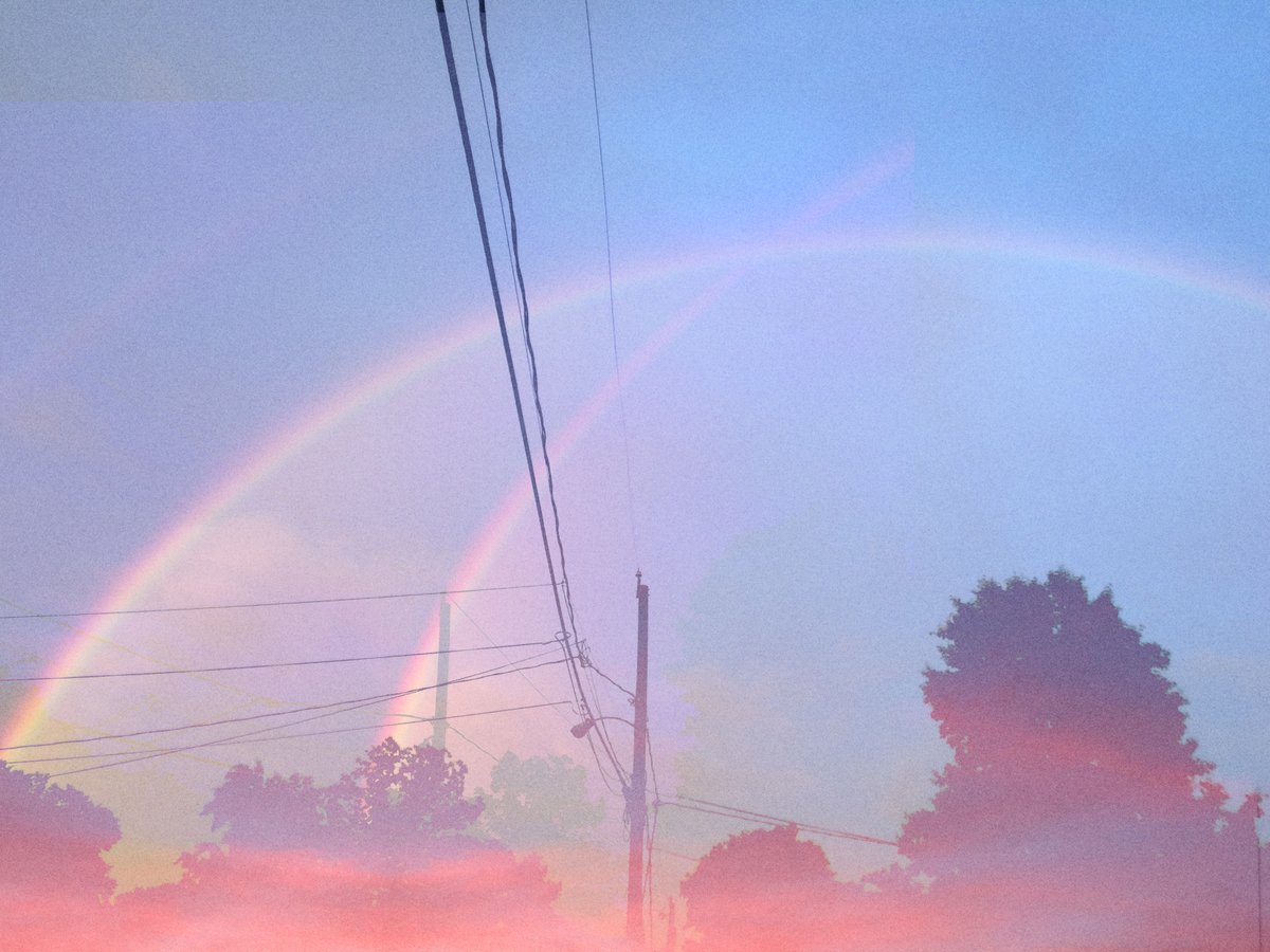 new rock song coming out this week, i paw promise u guys