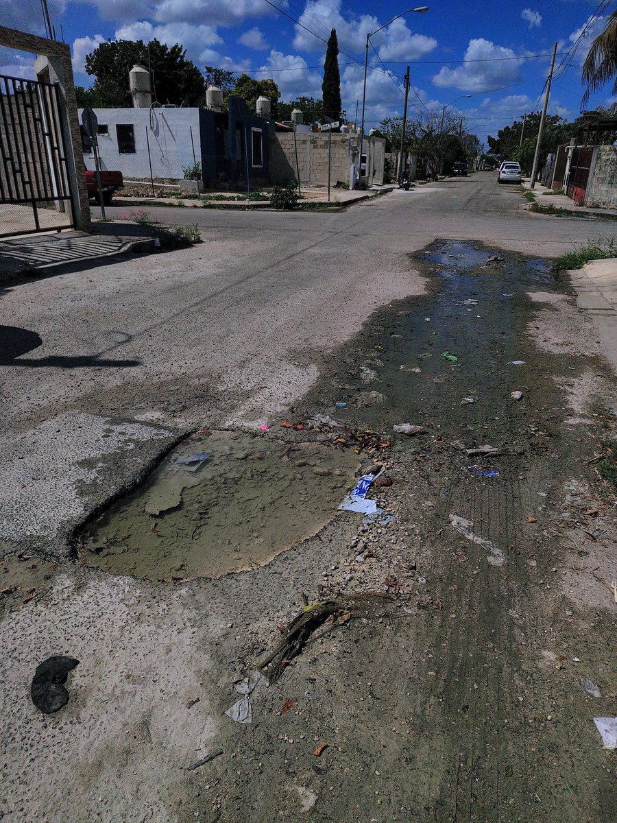 mario jose tweet media