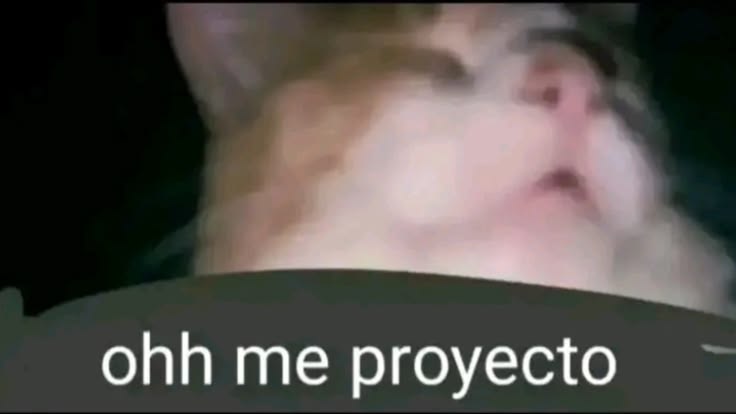 yo cada vez q entro a twitter