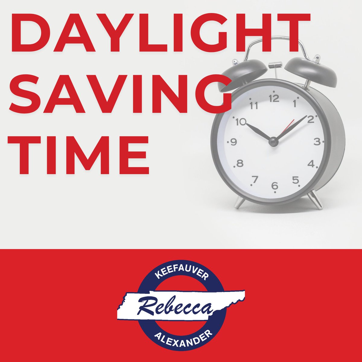 Representative Rebecca Alexander tweet media