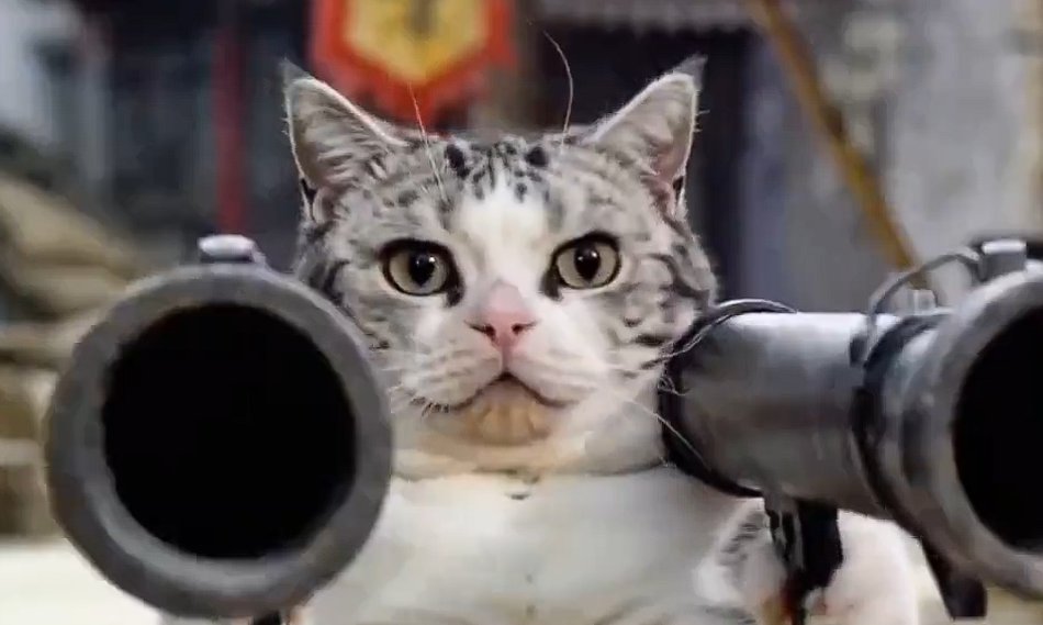 工商巨魔 Jumo 💰 tweet media