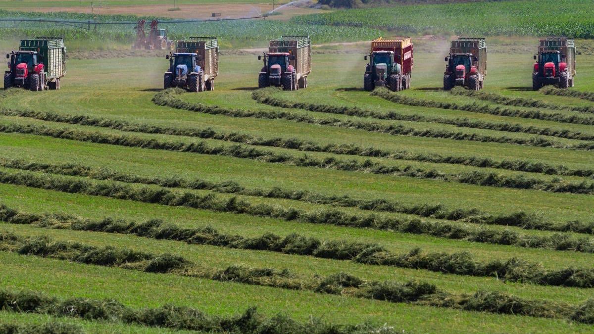 Aragón Alimentos tweet media