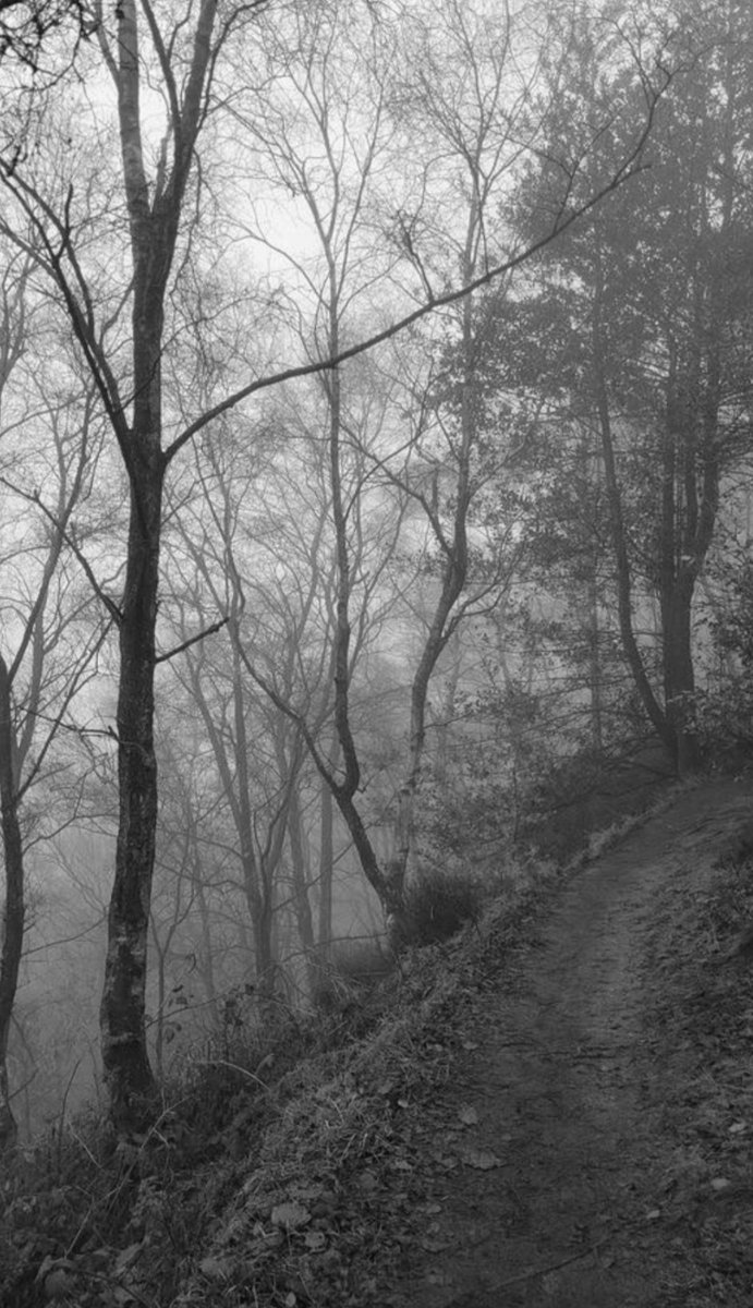 NIN75_'s tweet photo. The path........ https://t.co/OtwkJUaqeR