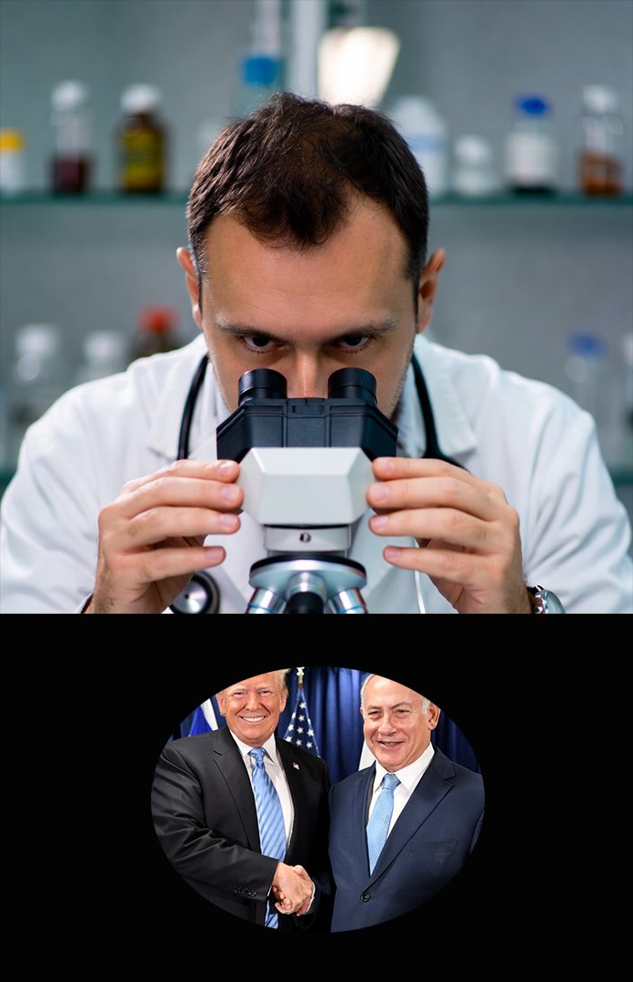 Papa Leone tweet media