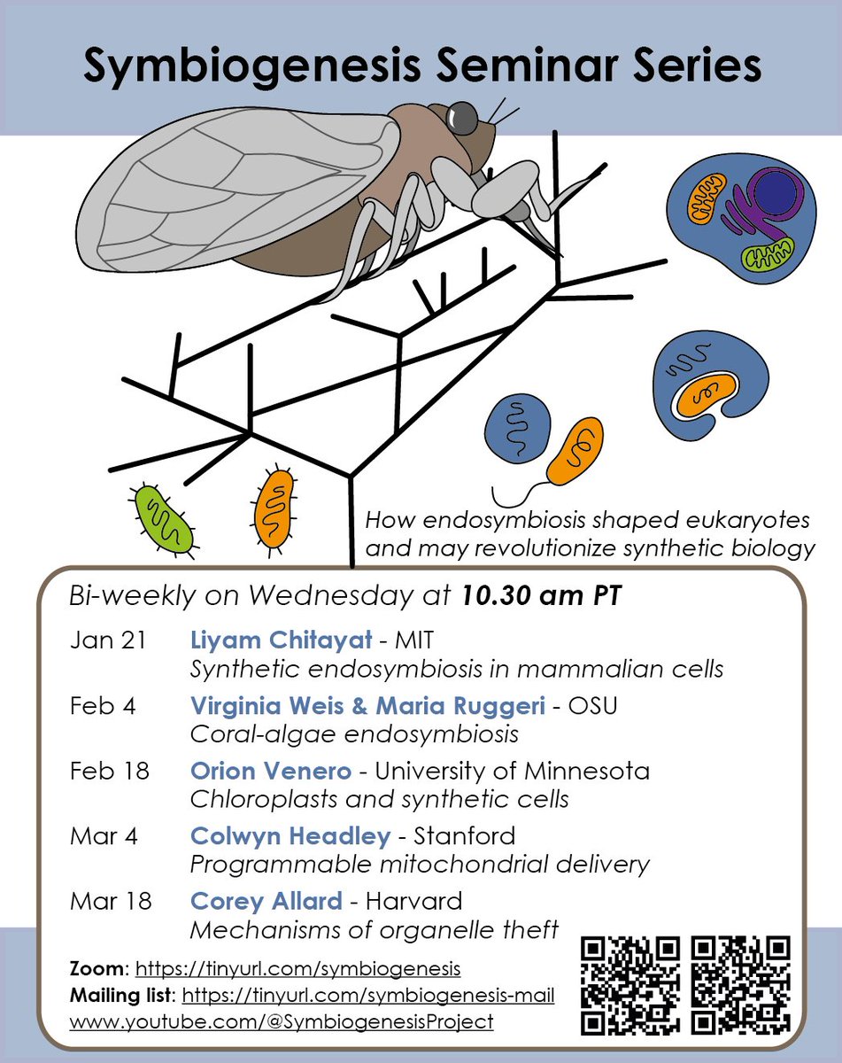 Karas Lab tweet media
