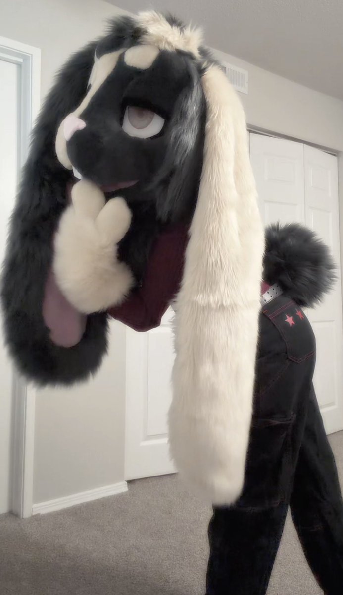 𝕭𝖎𝖓𝖌𝖔 tweet media