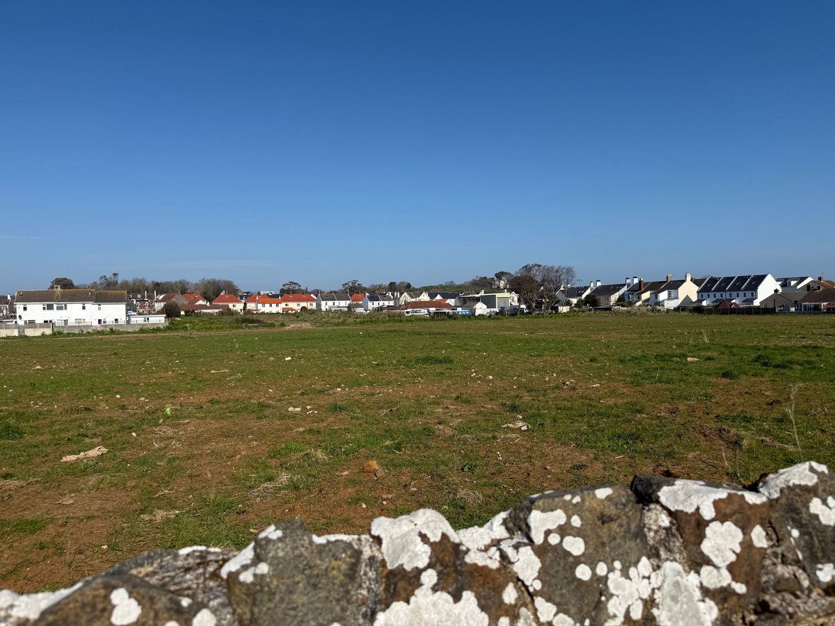 Guy Plummer tweet media