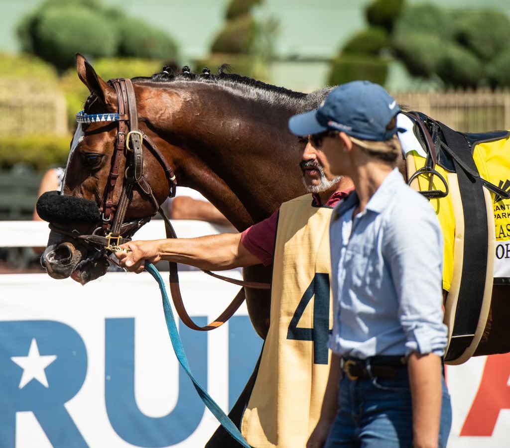 Julie Witt tweet media