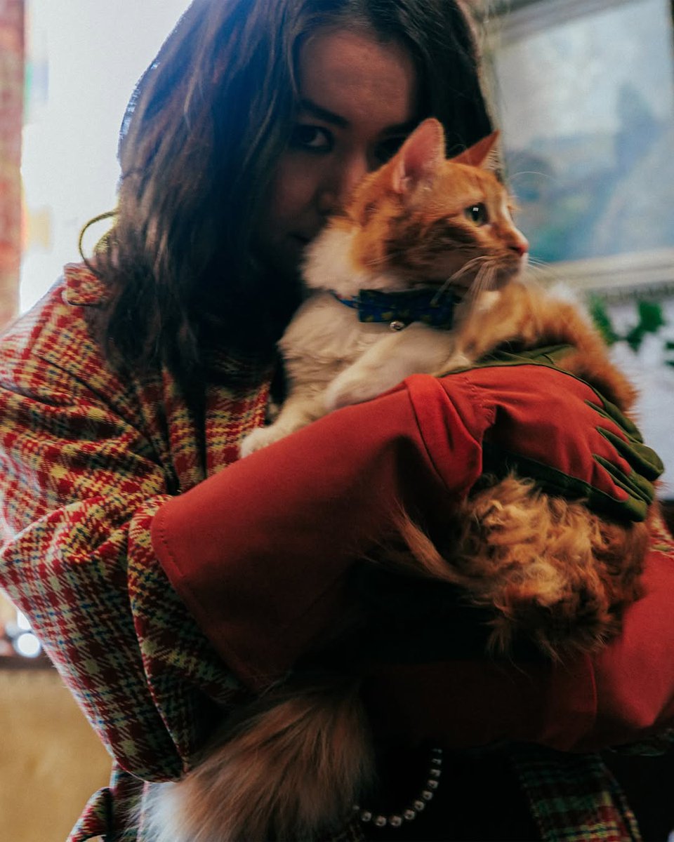 mitskifiIes's tweet photo. “there are people, especially dog people, who don't like cats because they think cats are mean, when actually,[...] cats just aren't obedient. [...] They just live independently. They love you how they love you, and they do what they want.” Mitski for The Current. https://t.co/fU8GcQK099