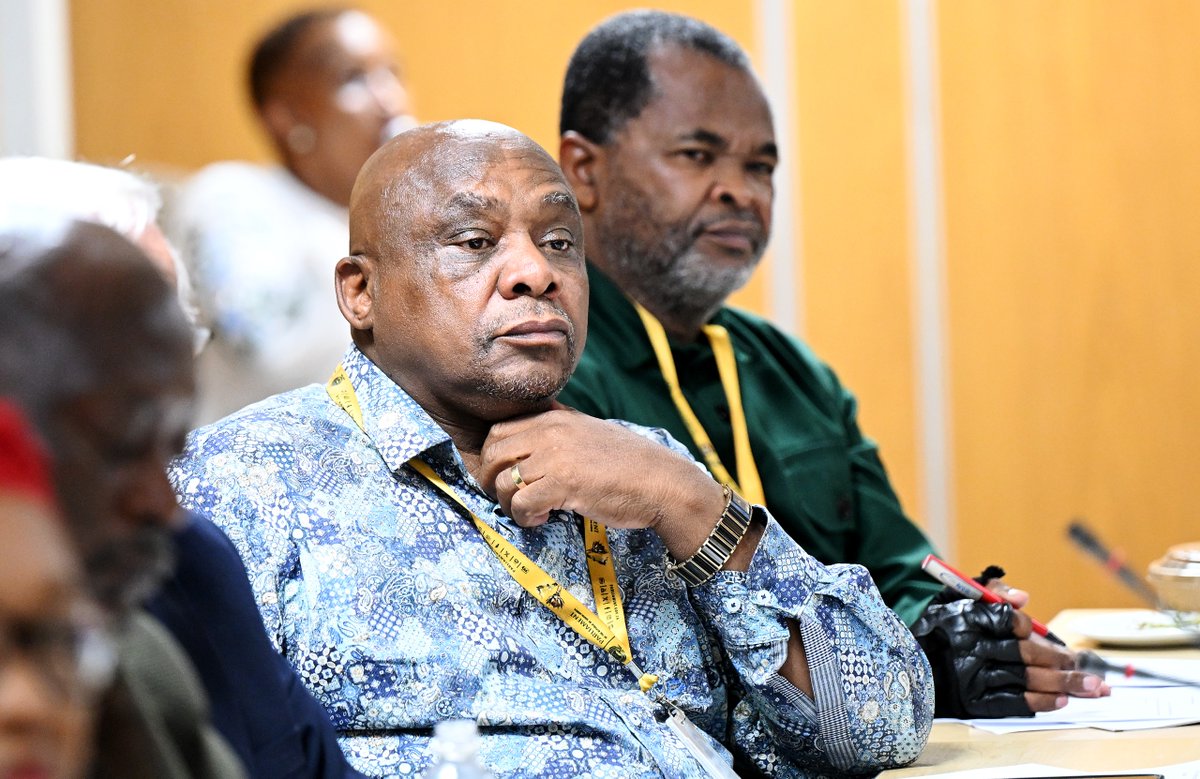 Defence Cluster Parliament of RSA tweet media