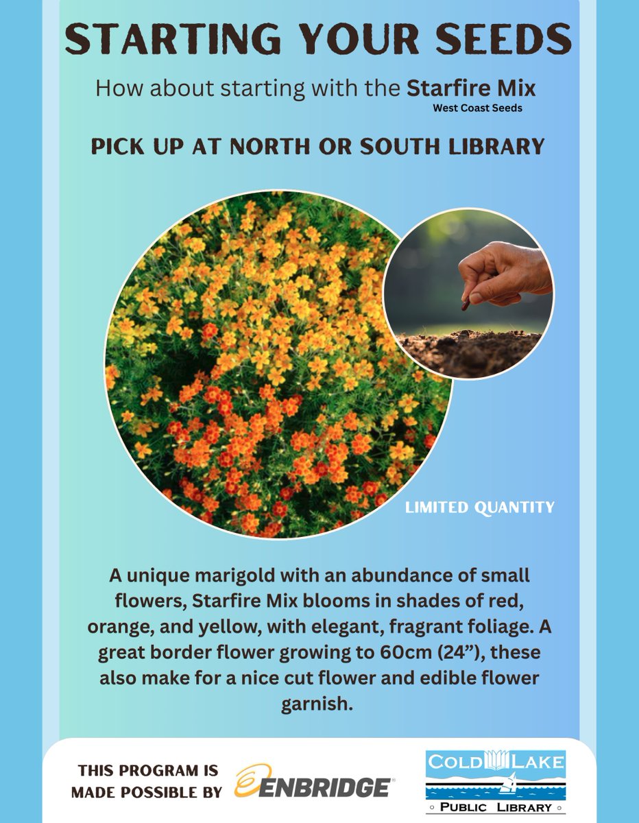 Cold Lake Library tweet media