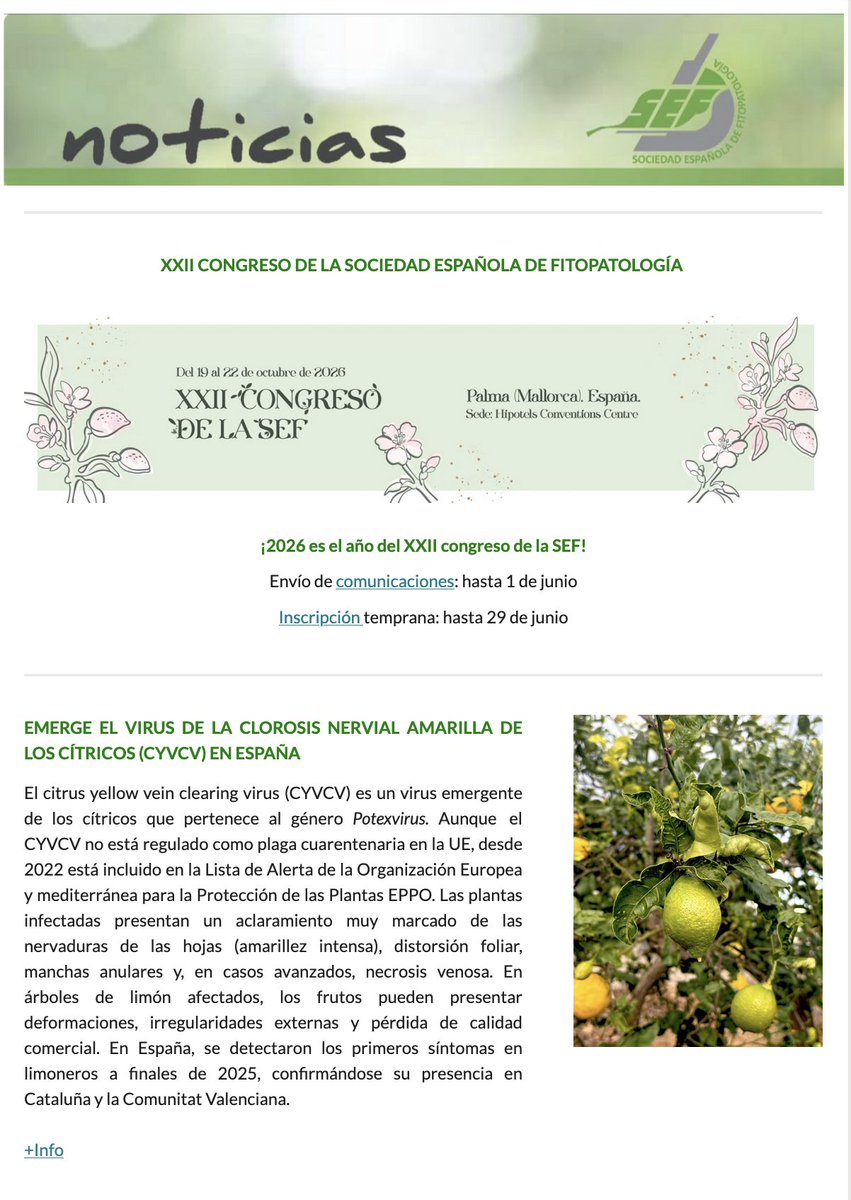 Soc Es Fitopatologia tweet media