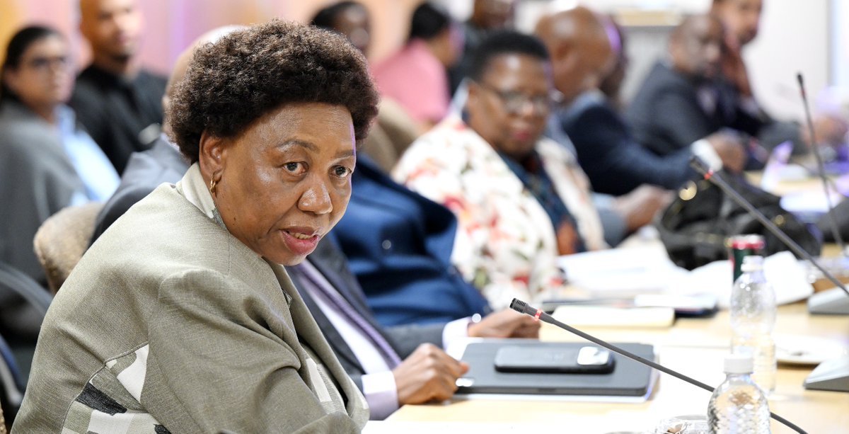 Defence Cluster Parliament of RSA tweet media