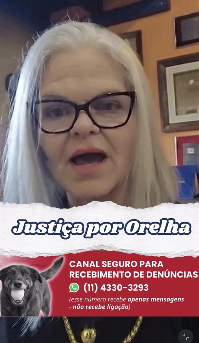 gabrielcharro_'s tweet photo. 🚨ORELHA AGORA TEM ADVOGADA!

 A Dra Antilia Reis, que é advogada no caso Orelha disponibilizou um número de WhatsApp para quem quiser fazer denúncias exclusivamente sobre o caso!  
A PESSOA QUE ENVIAR INFORMAÇÕES NÃO SERÁ IDENTIFICADA. (Via @TaGravadoBrasil )
👉IG da Dra. @ antiliareis
#justicapororelha