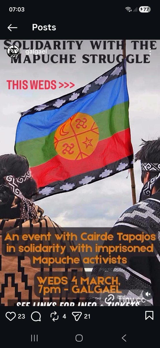 Catherine MacPhee tweet media