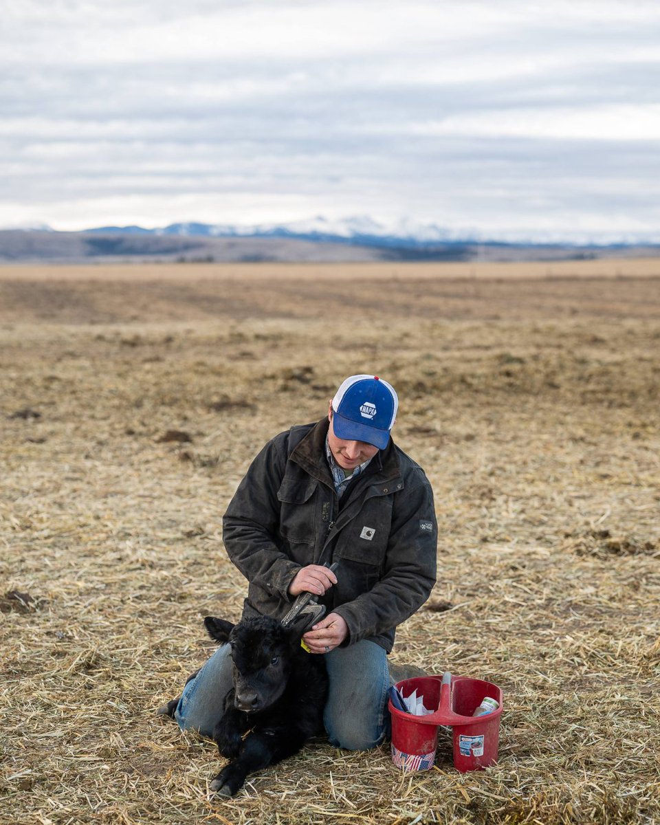 Angus Journal editor tweet media