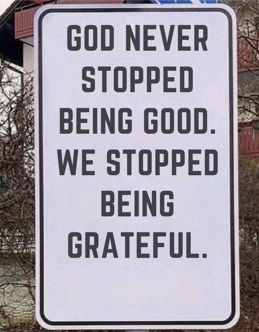 The Ant Philosophy (@ant_philosophy) on Twitter photo 