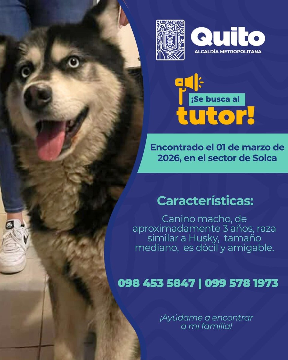 📣 #AlertaMePerdí | Tu ayuda puede marcar la diferencia. ¡Únete a la búsqueda y comparte! Juntos podemos darle un final feliz 🏡.

#QuitoRenace