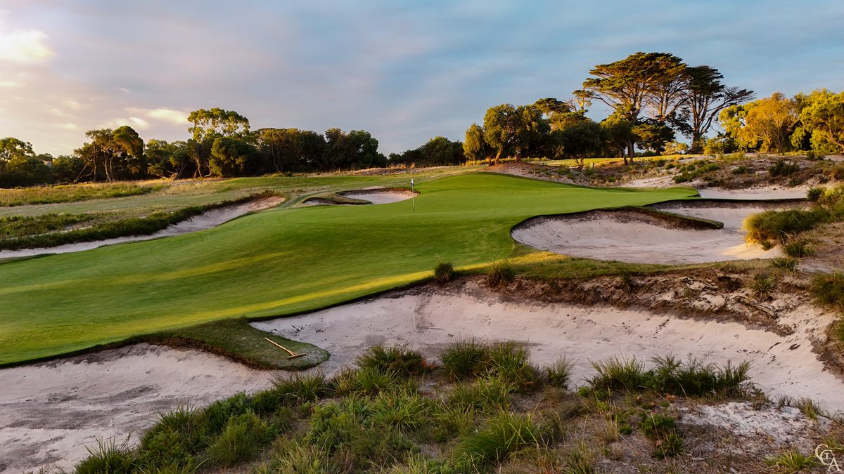 Andrew Harvie tweet media