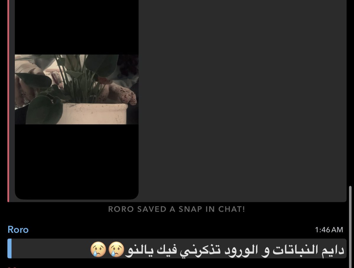 لانـا tweet media