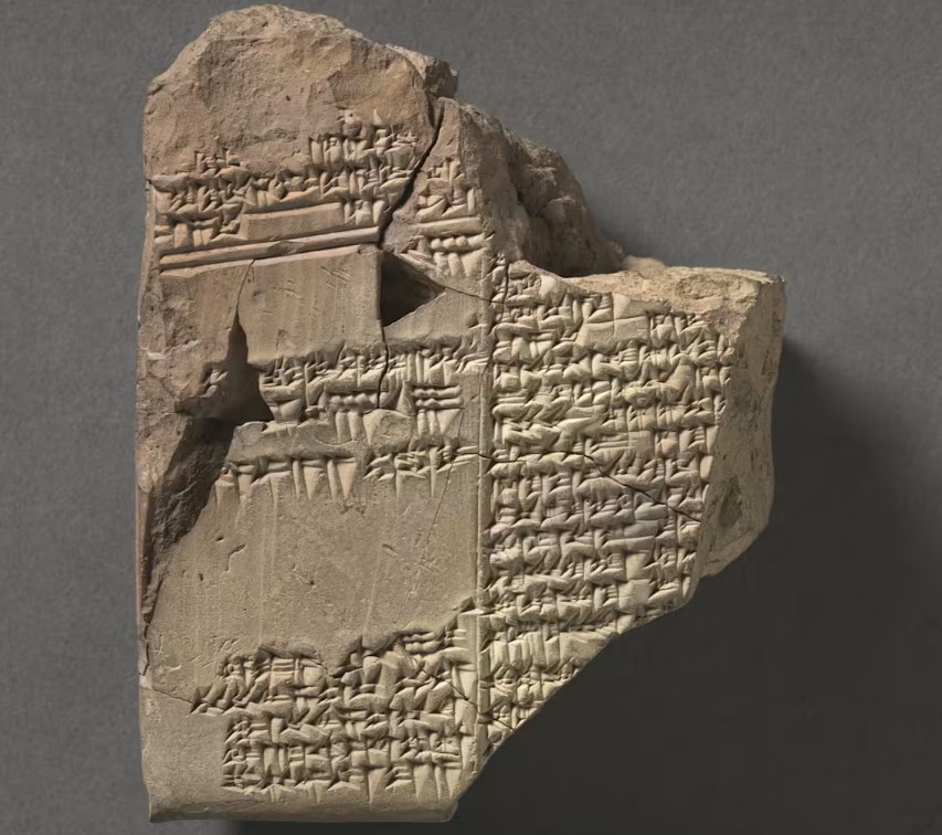 Luciano Parisi tweet media