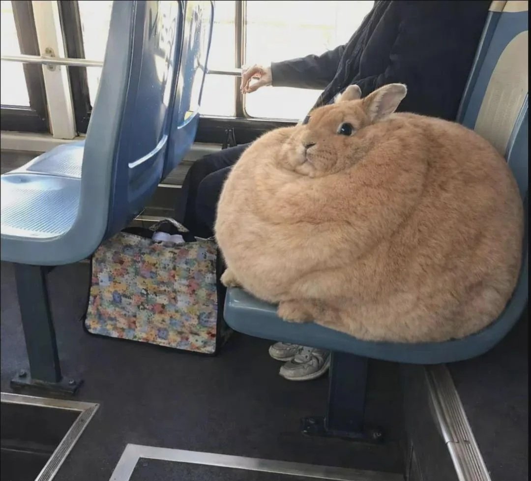 𝕀𝕟𝕤𝕚𝕝𝕚𝕔𝕠 Very poor & Very stupid tweet media