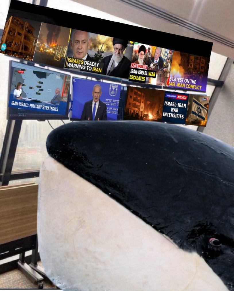 Monitoring the situation