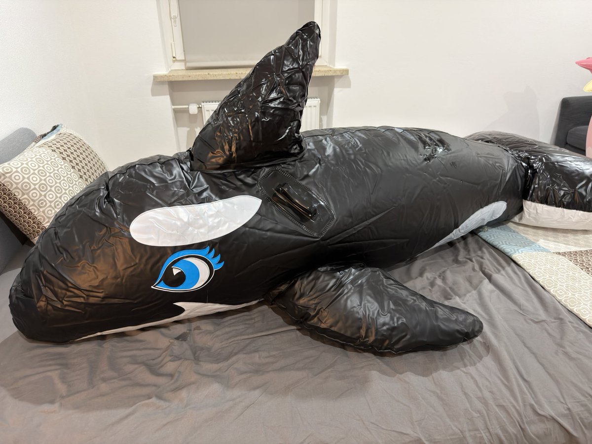 Miko Infla tweet media