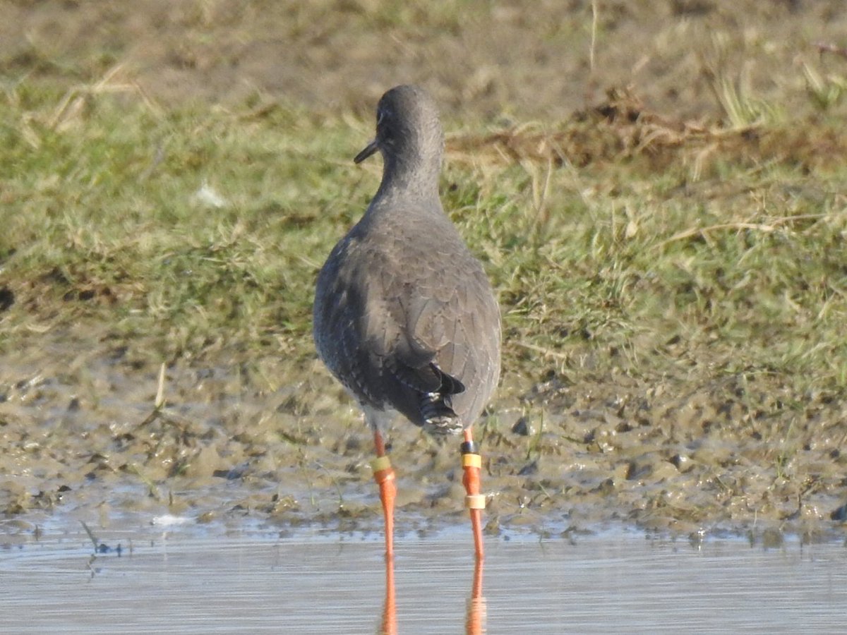 Gary Stones tweet media