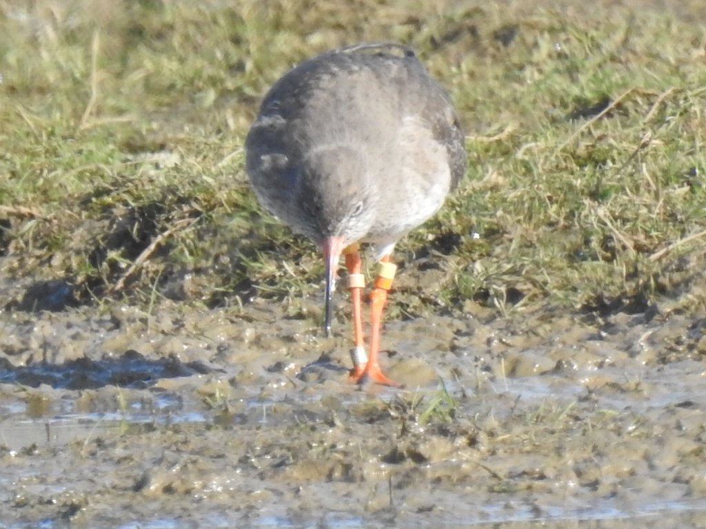 Gary Stones tweet media