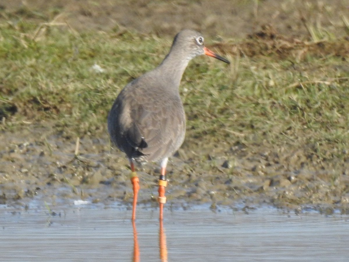 Gary Stones tweet media