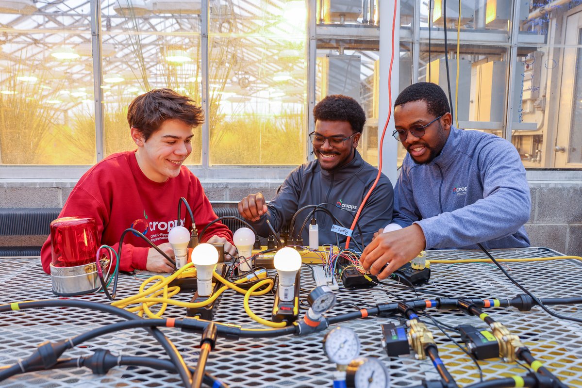 Cornell Research & Innovation tweet media