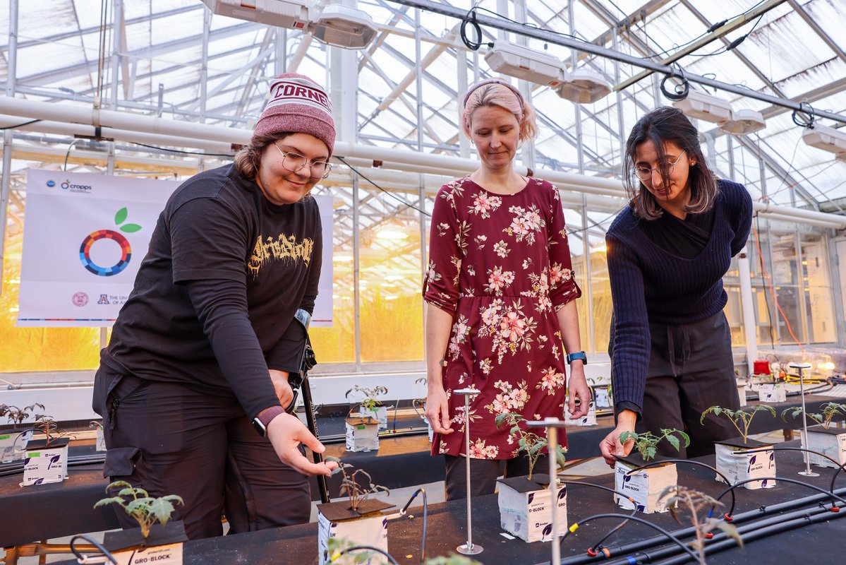 Cornell Research & Innovation tweet media