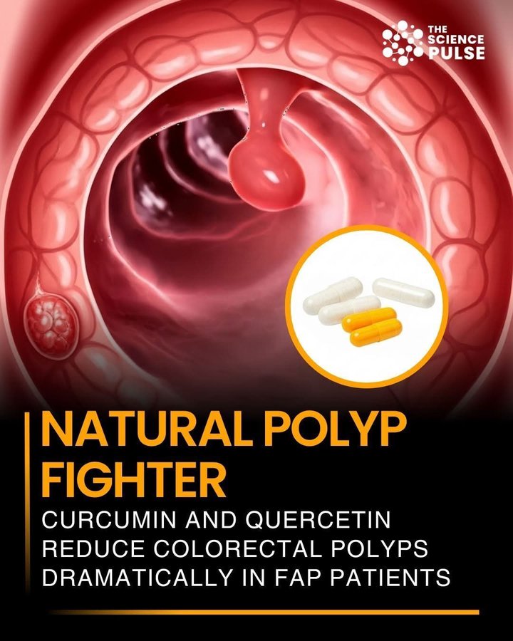 The Eagle flies free tweet media