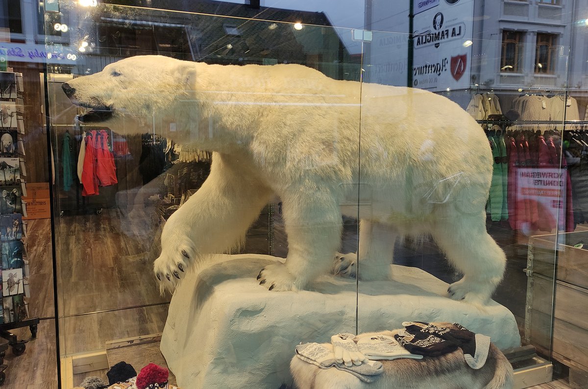 Alan Guerzoni tweet media