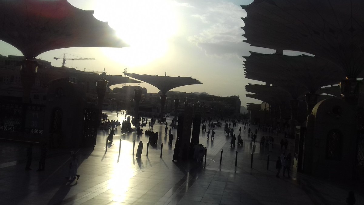 رائد tweet media