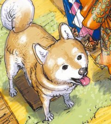 raphiwifsol tweet media