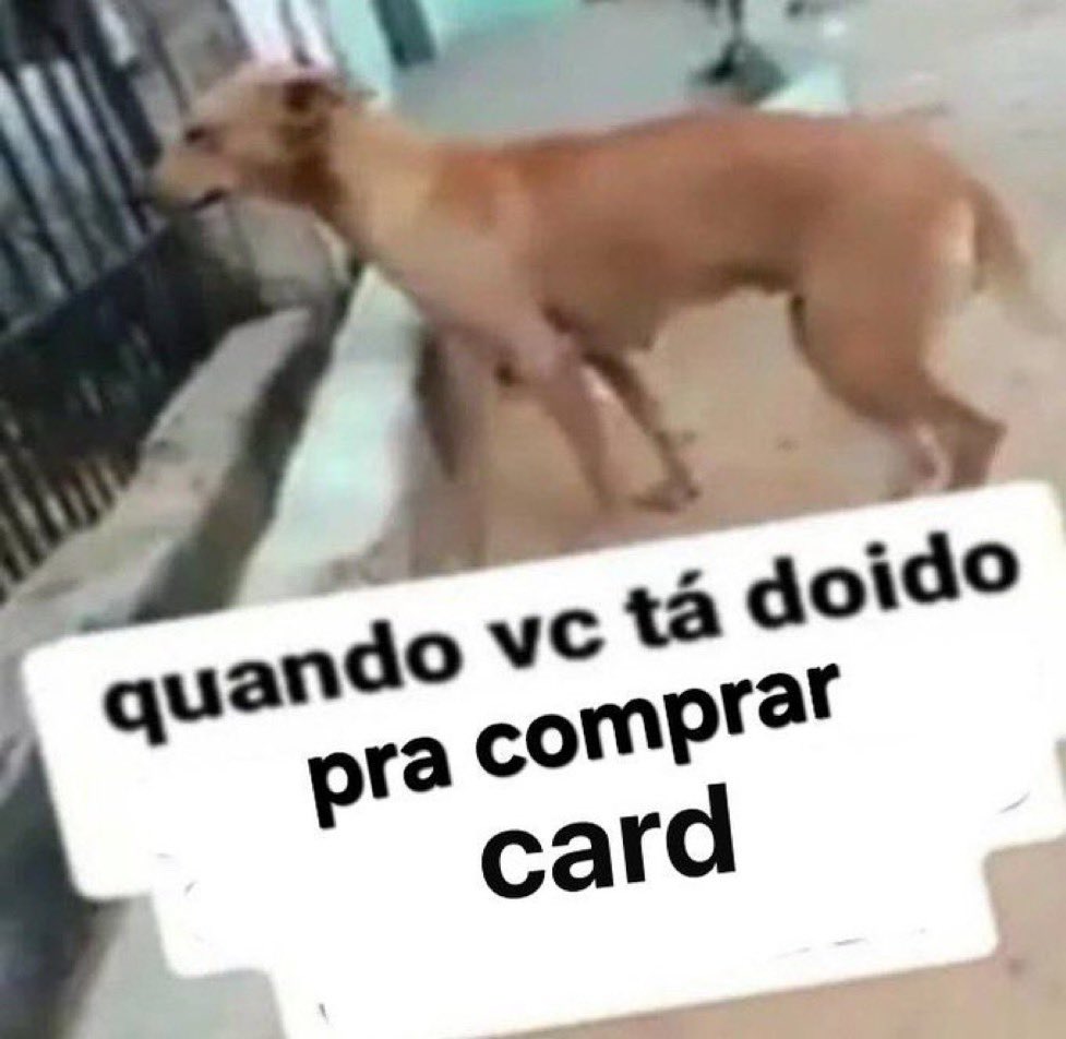 odeio ver anuncio de photocard na minha tl pq eu fico assim