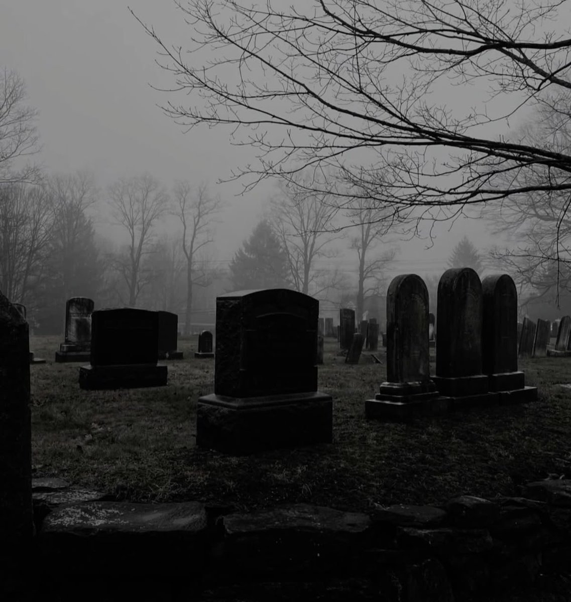 𝖆𝖑𝖎𝖈𝖊 🪦 🦇 tweet media