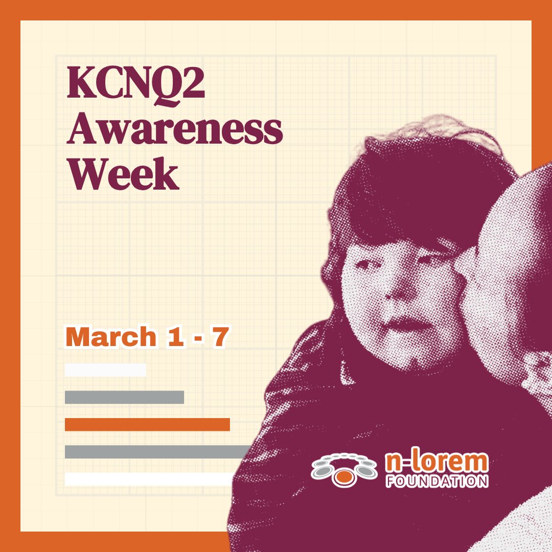 n-Lorem Foundation tweet media