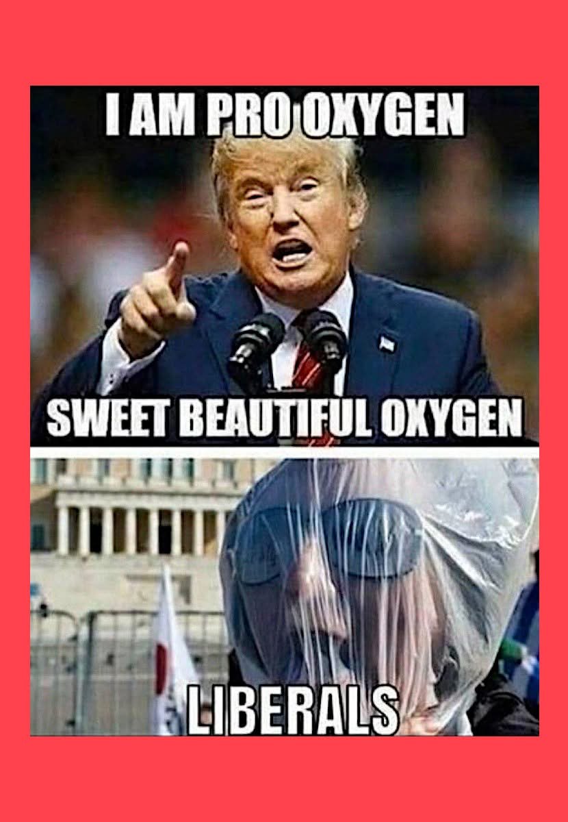 Welchie17's tweet photo. @SenWarren https://t.co/q2KcxGNiIp