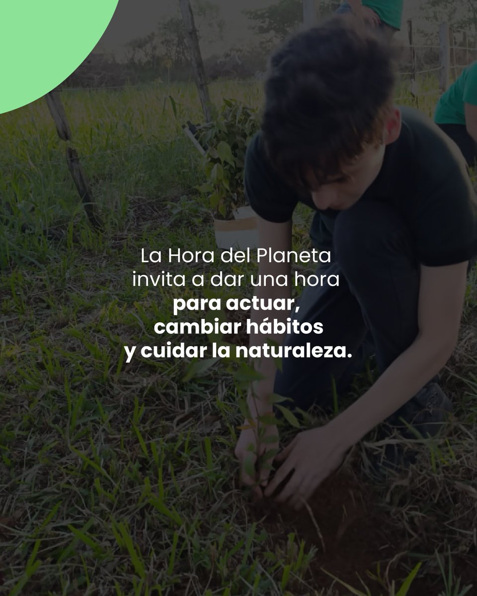 WWF-Paraguay tweet media