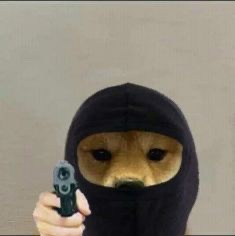 ForceQuinn tweet media