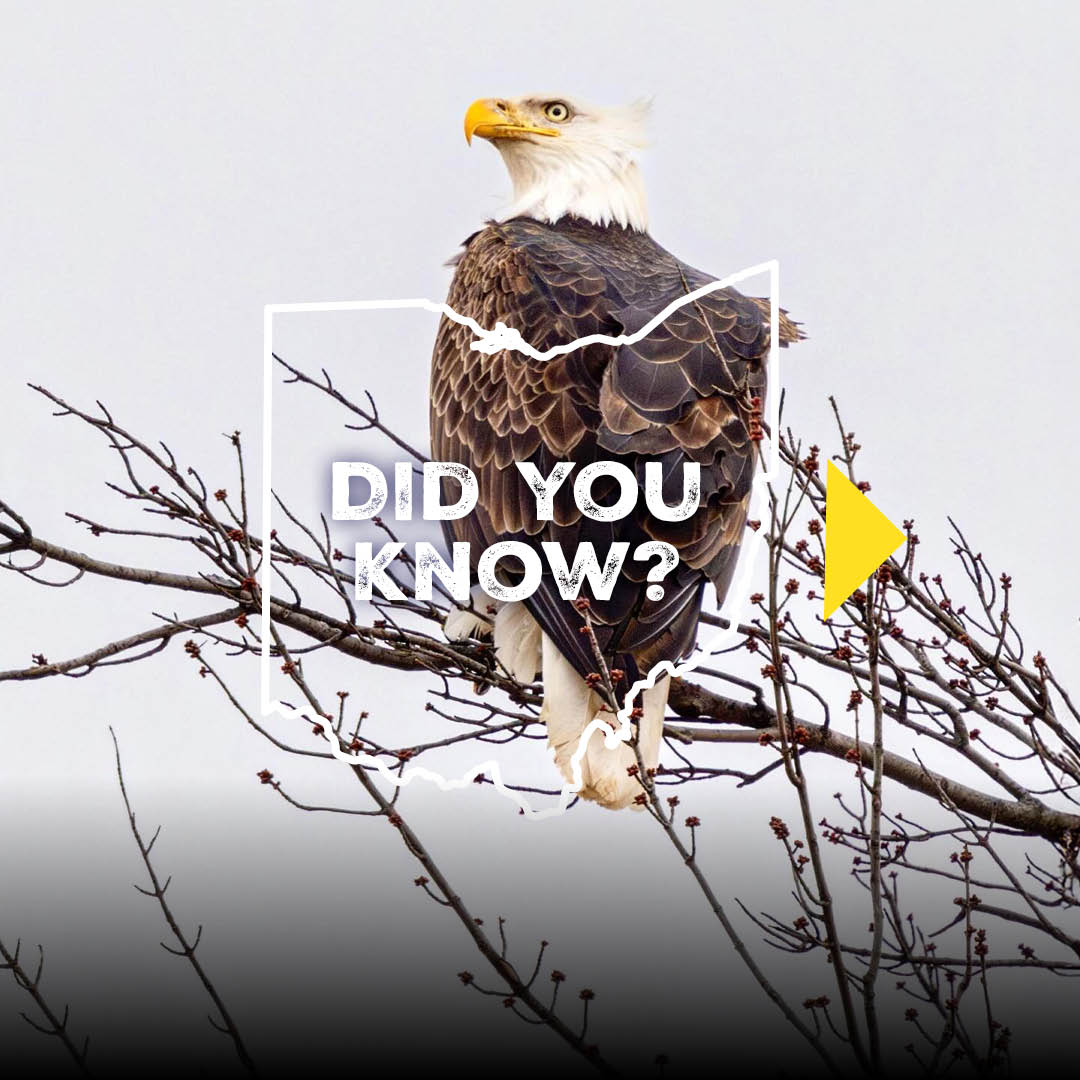 MacGillivray Freeman tweet media