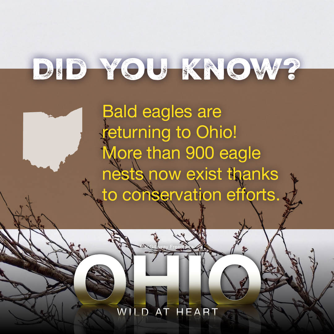 MacGillivray Freeman tweet media