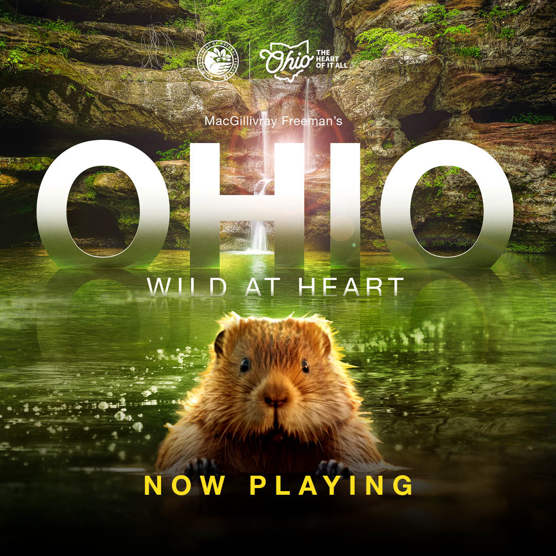 MacGillivray Freeman tweet media