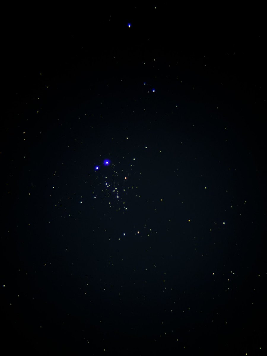 Milk Truck Driver tweet media