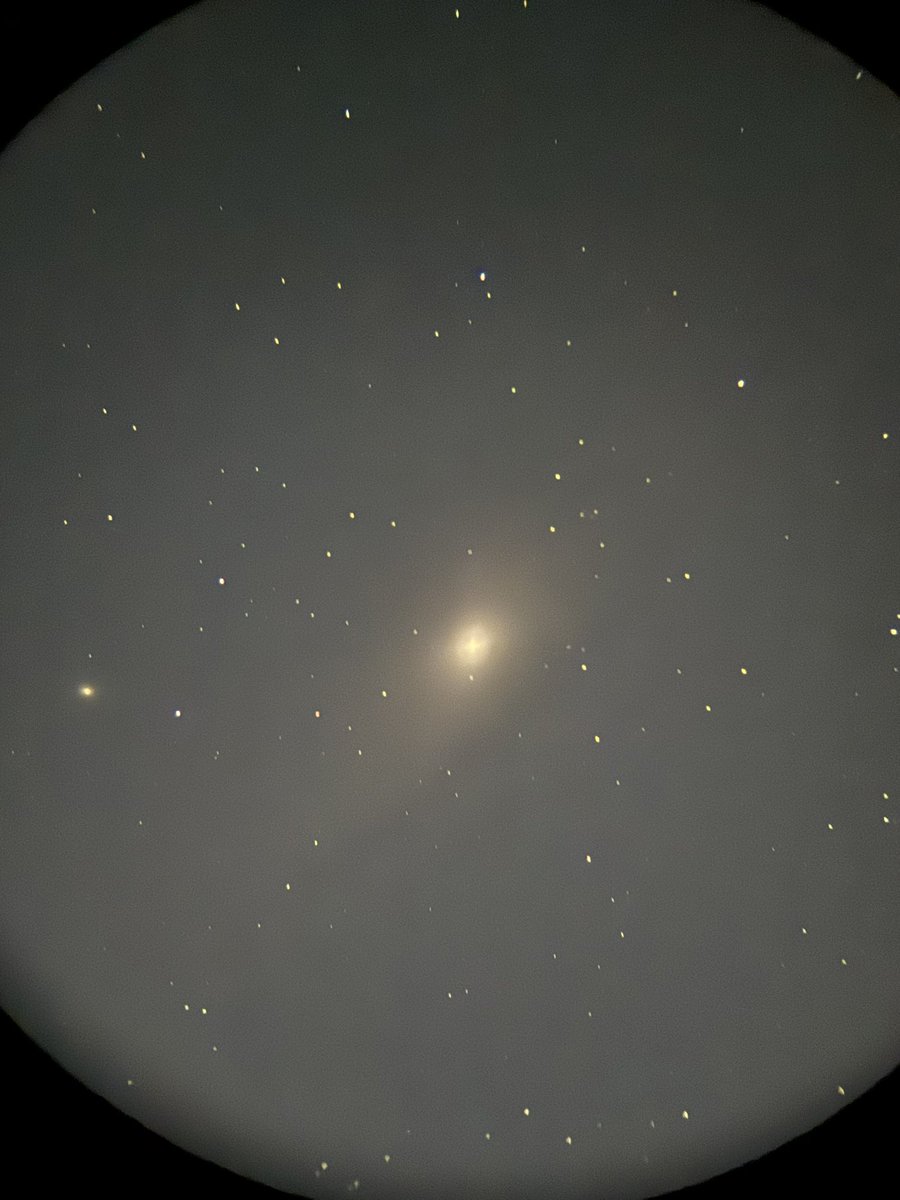 Milk Truck Driver tweet media